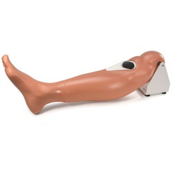 Simulaids Intraosseous Leg on Stand for Adult STAT Simulators
