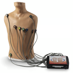 Life-form 15-Lead ECG Placement Trainer