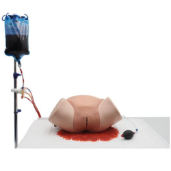 Postpartum Hemorrhage Simulator – PPH Trainer P97 PRO
