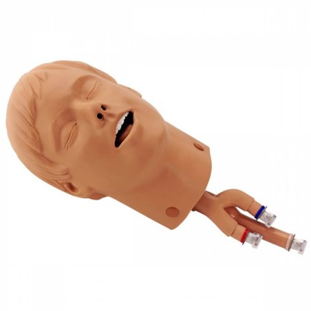 Simulaids Intubation Head for Adult ALS Trainer